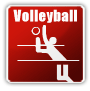 volley ico