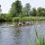 Delzijl_20045_20061123_1314700540