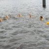drabo200715_20070715_2014507187