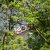 Ruhrfahrt_200750_20070528_1334333176