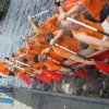Drabo20082_20080901_1080312412