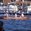 IMG_0704