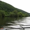 IMG_0441