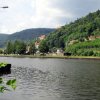 IMG_0501