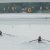 Regatta Köln