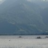 Regatta Sarnen