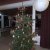 image003