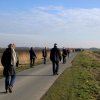 img_8817.cr2