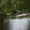 DSC_0446.50