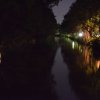 DSC_0289.50
