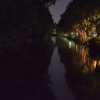 DSC_0291.50