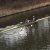 img-20160327-wa0023