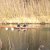 img-20160327-wa0057