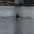 img-20160327-wa0091