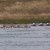 image0013