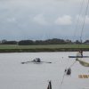 img_1425
