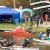 carola_201822