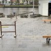 IMG_1233