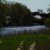 DSCN0353