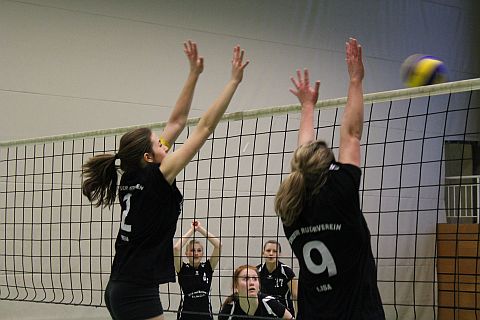 IMG_20110219