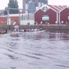 Hafenregatta