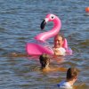 2019 &raquo; Drabo-Regatta